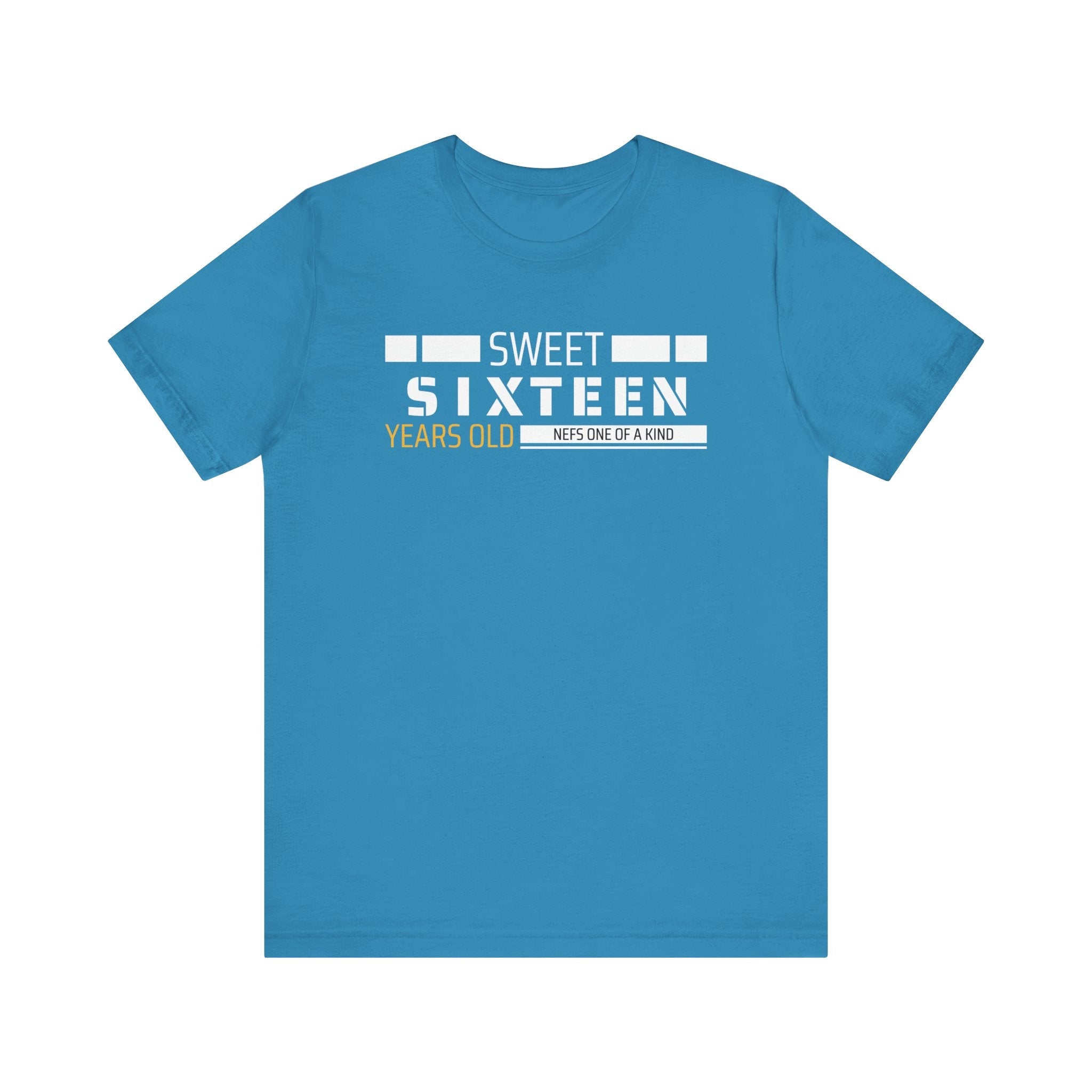 Sixteen year old Unisex Adult Tee